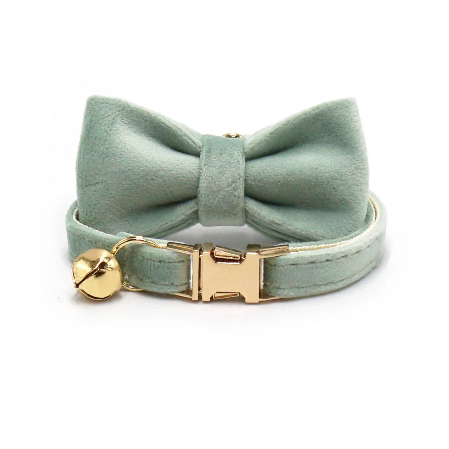 Puppy Kitten collar