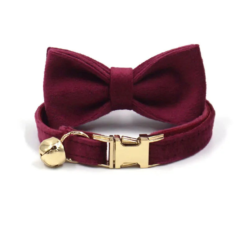 Puppy Kitten collar