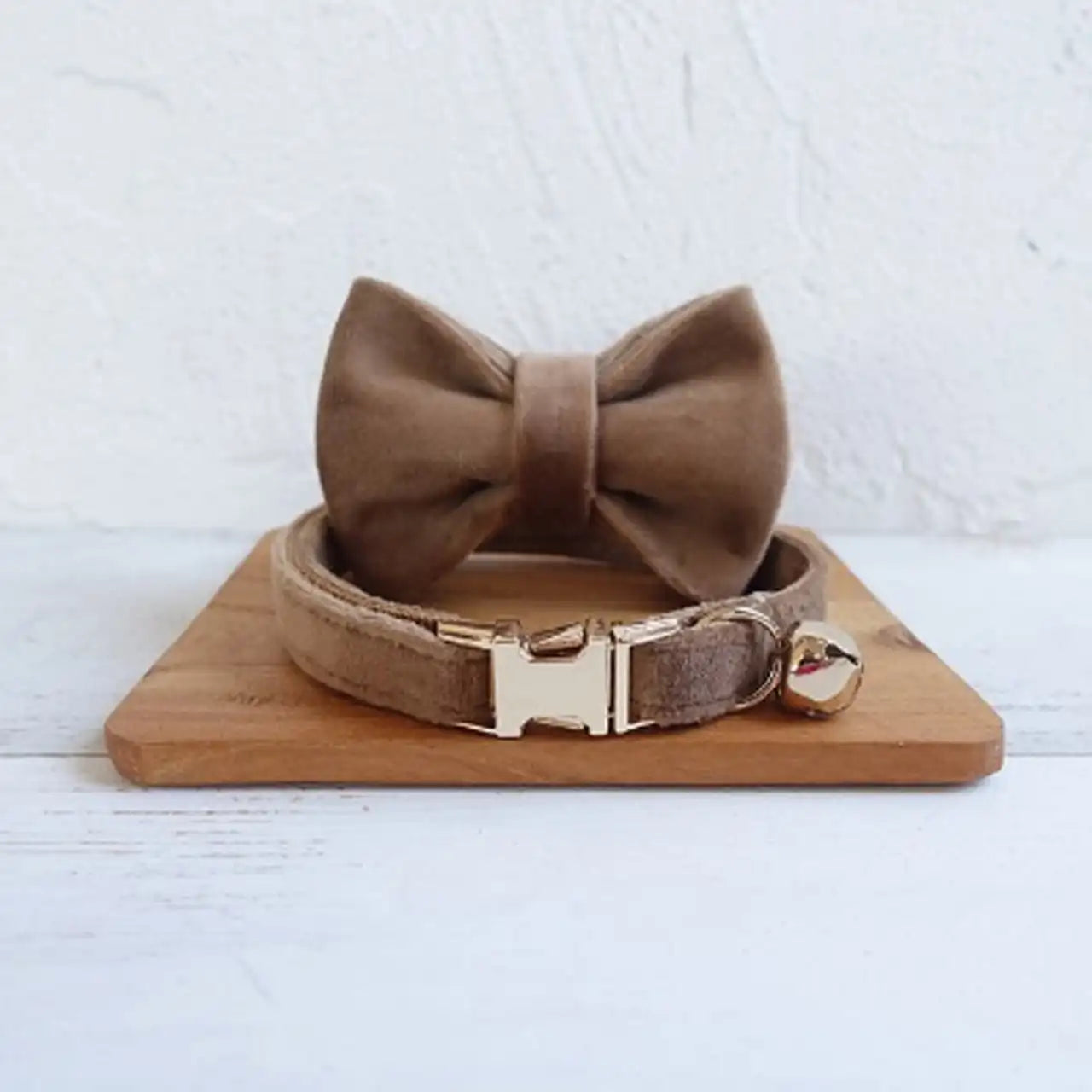 Puppy Kitten collar