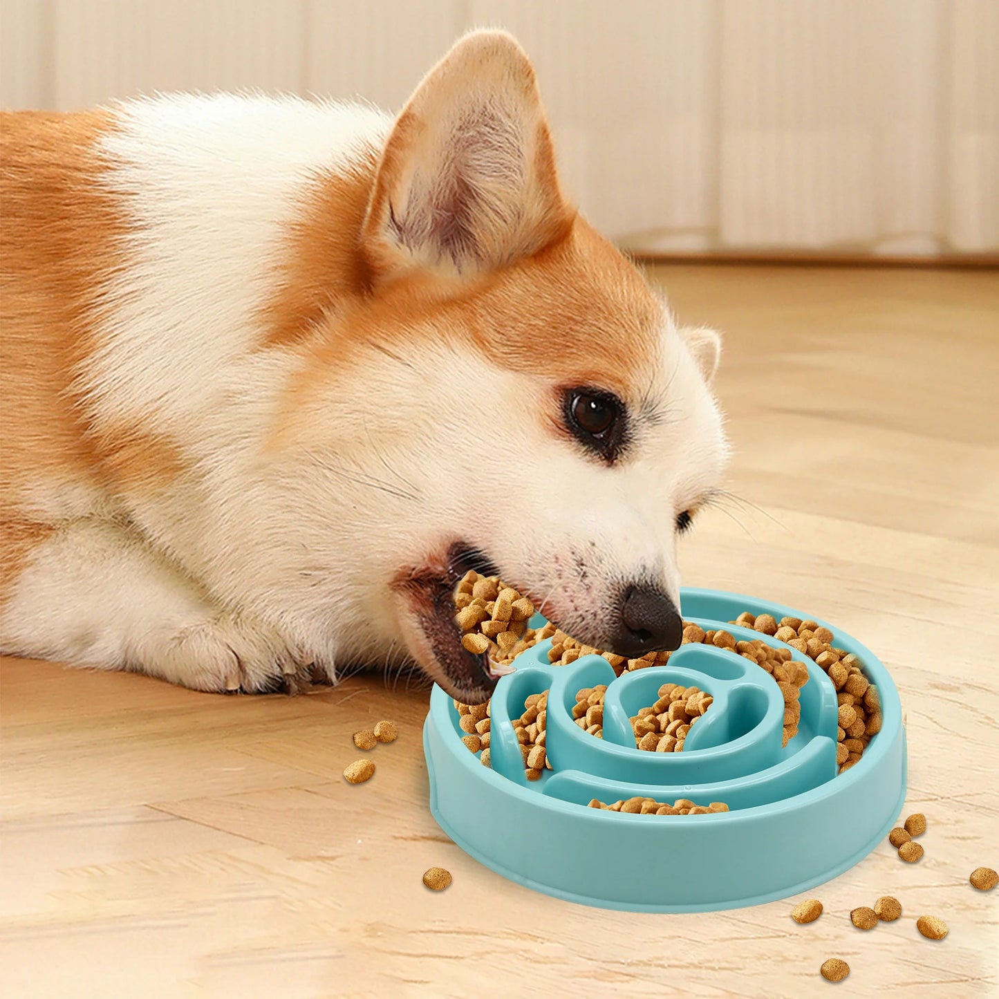 Slow Feeder Dog Bowl