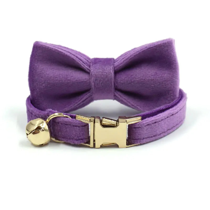 Puppy Kitten collar