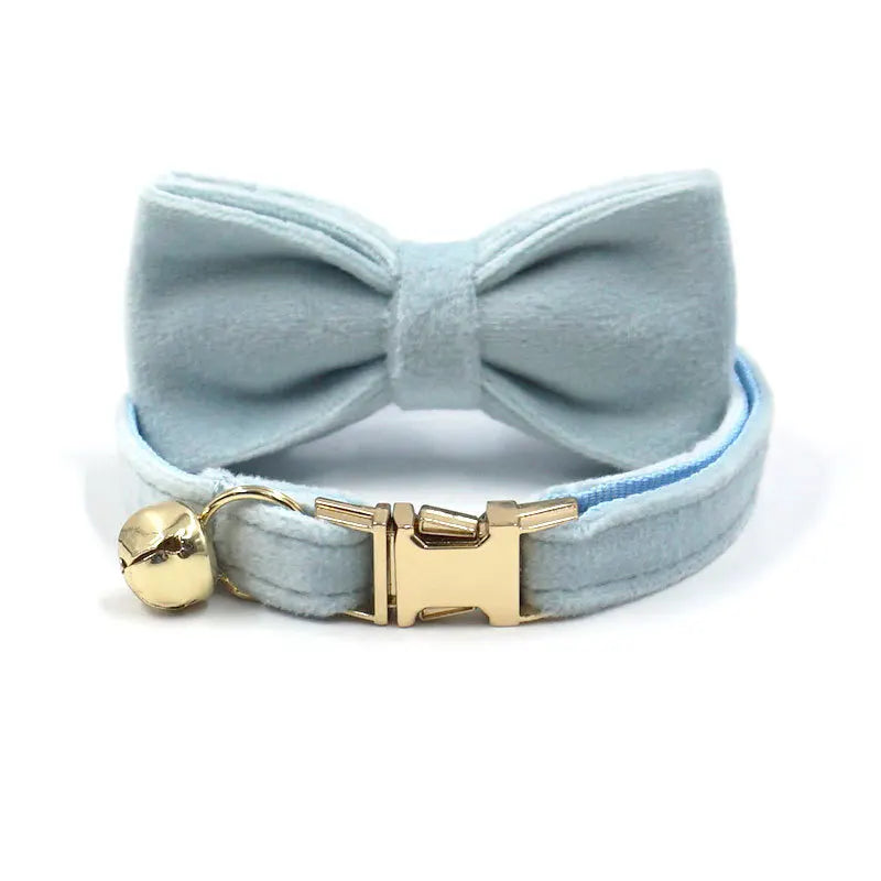 Puppy Kitten collar