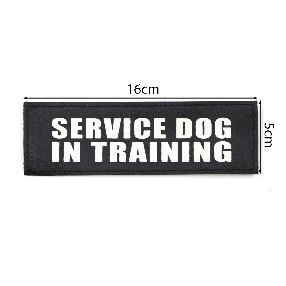 1PC Tactical Dog Series Patch
