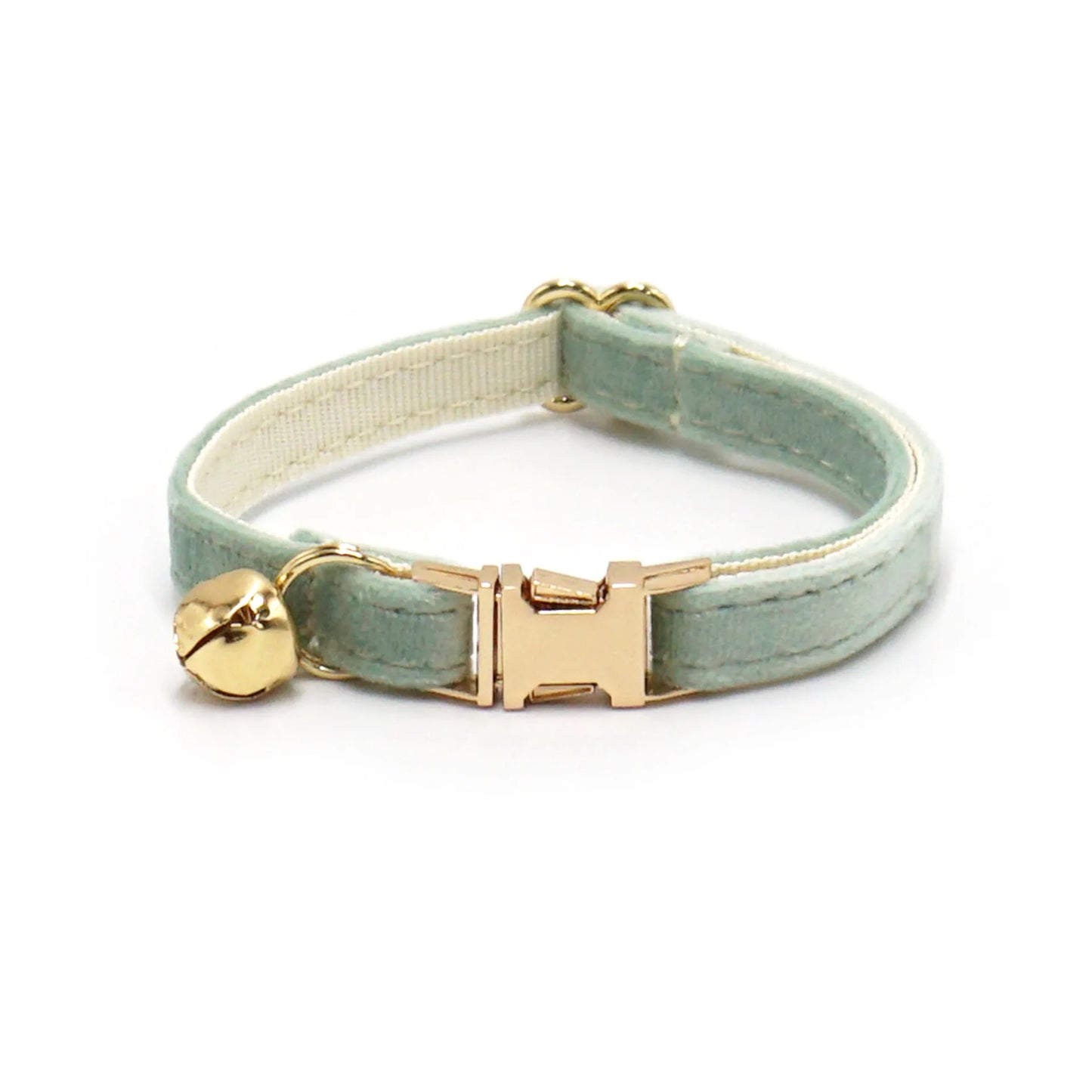 Puppy Kitten collar