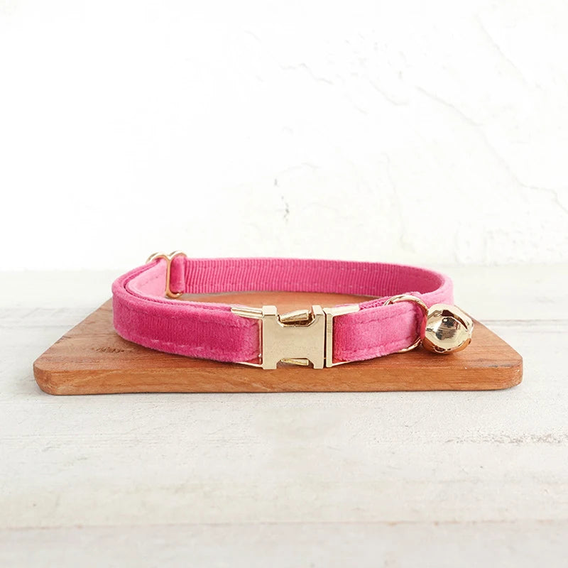 Puppy Kitten collar