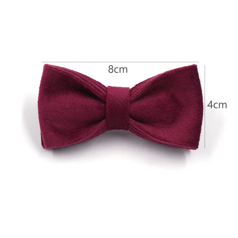 Puppy Kitten collar