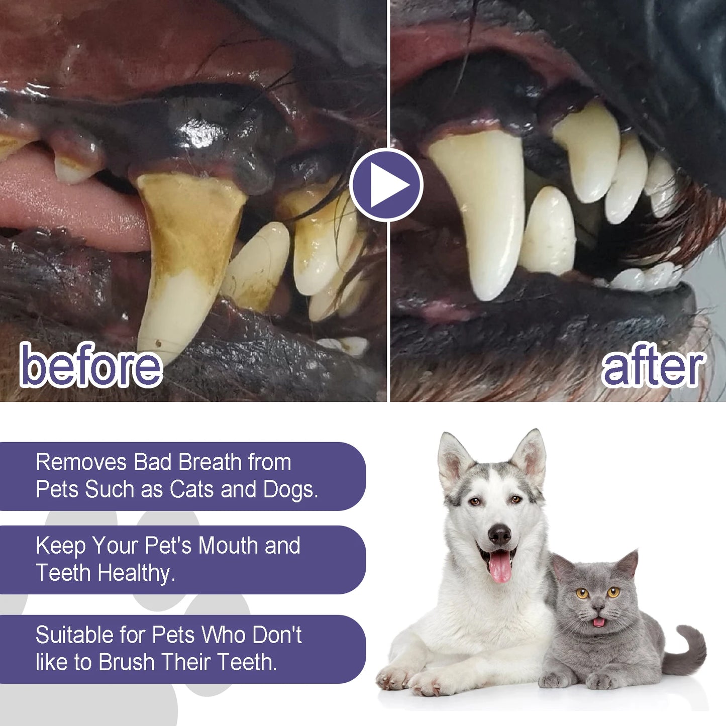 Pet Dental Cleaning Pen