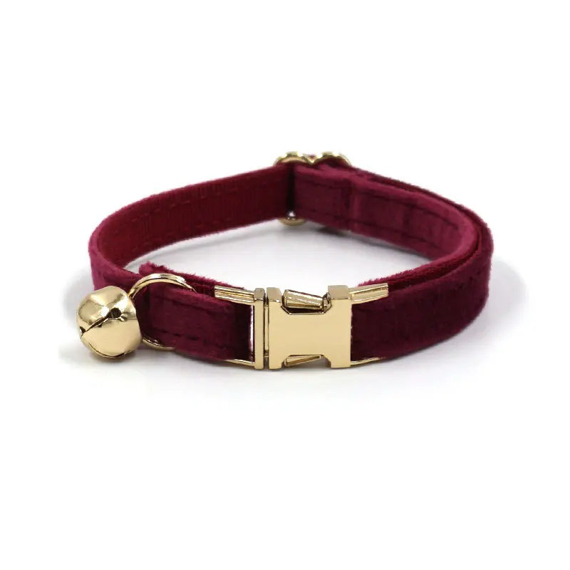 Puppy Kitten collar