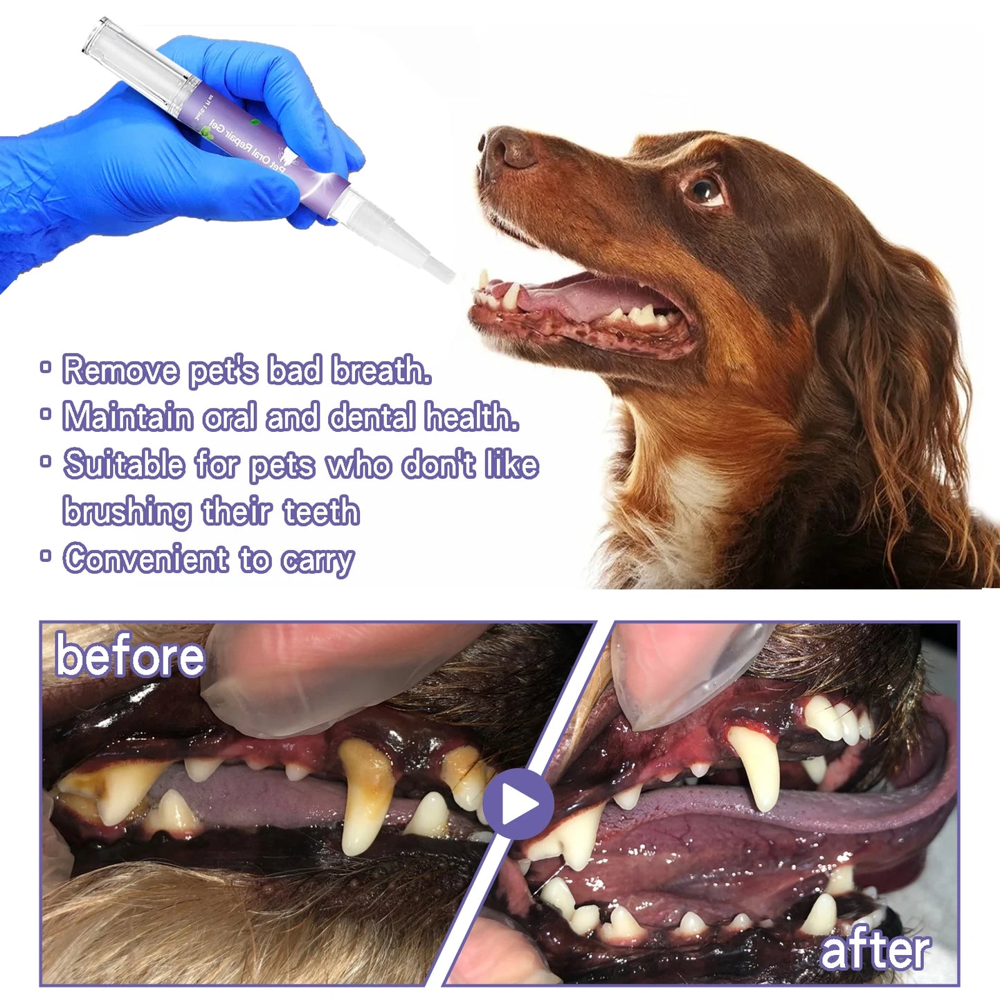 Pet Dental Cleaning Pen