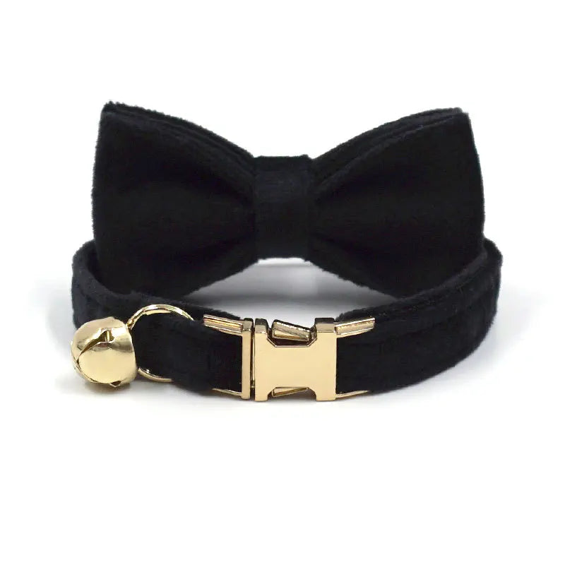 Puppy Kitten collar