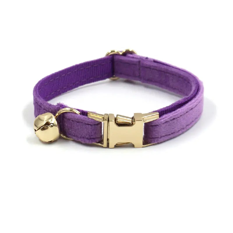 Puppy Kitten collar