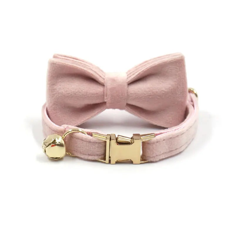 Puppy Kitten collar