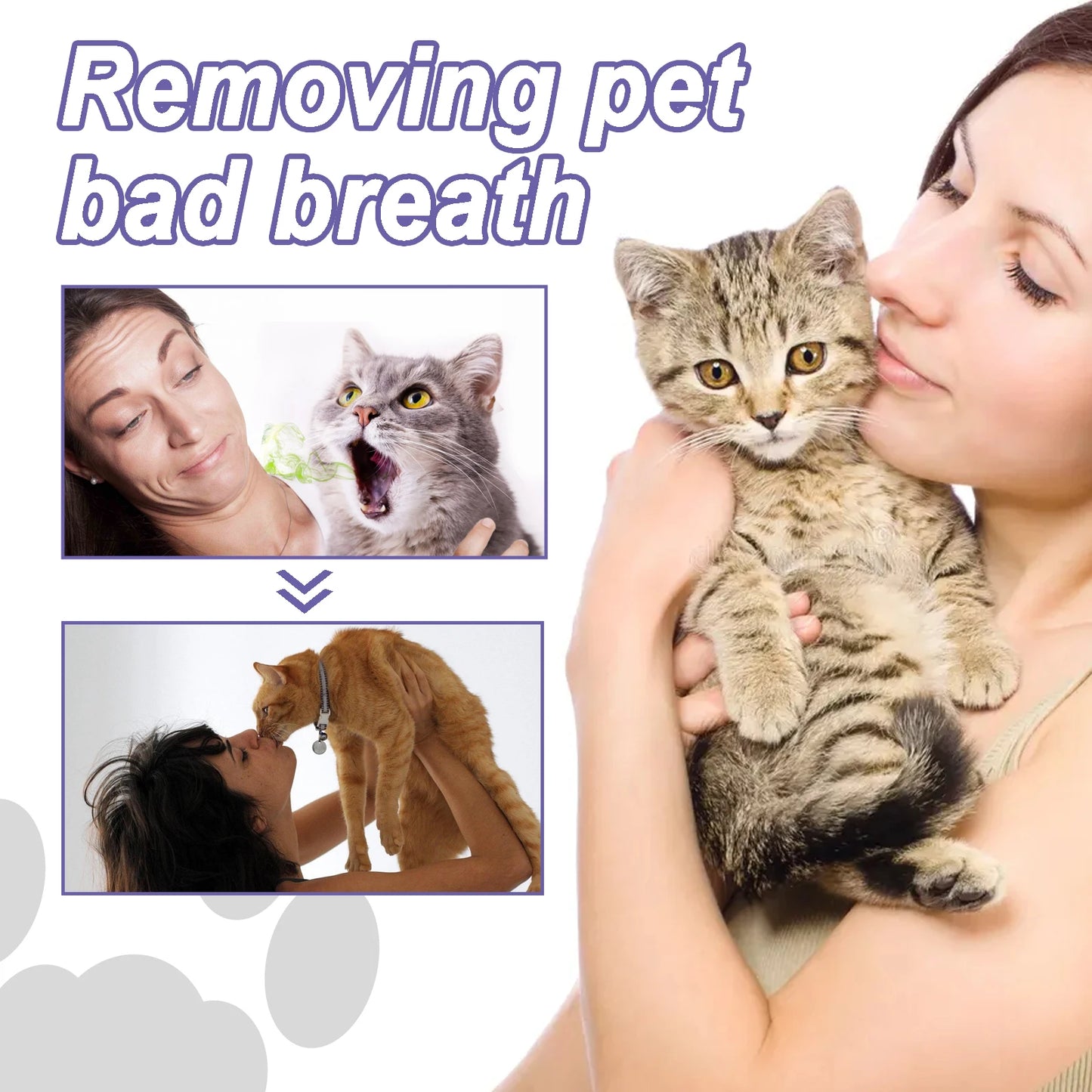 Pet Dental Cleaning Pen
